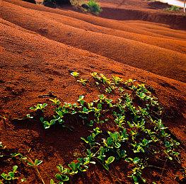 《赛博朋克2077》开发团队已全面转向新项目